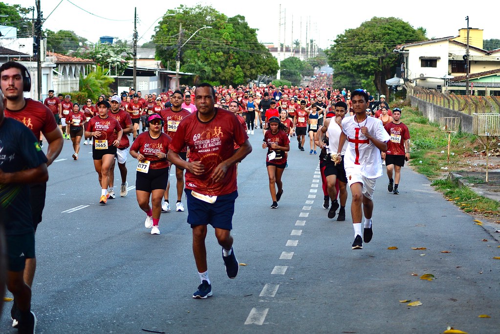 Equipe de apoio e organização