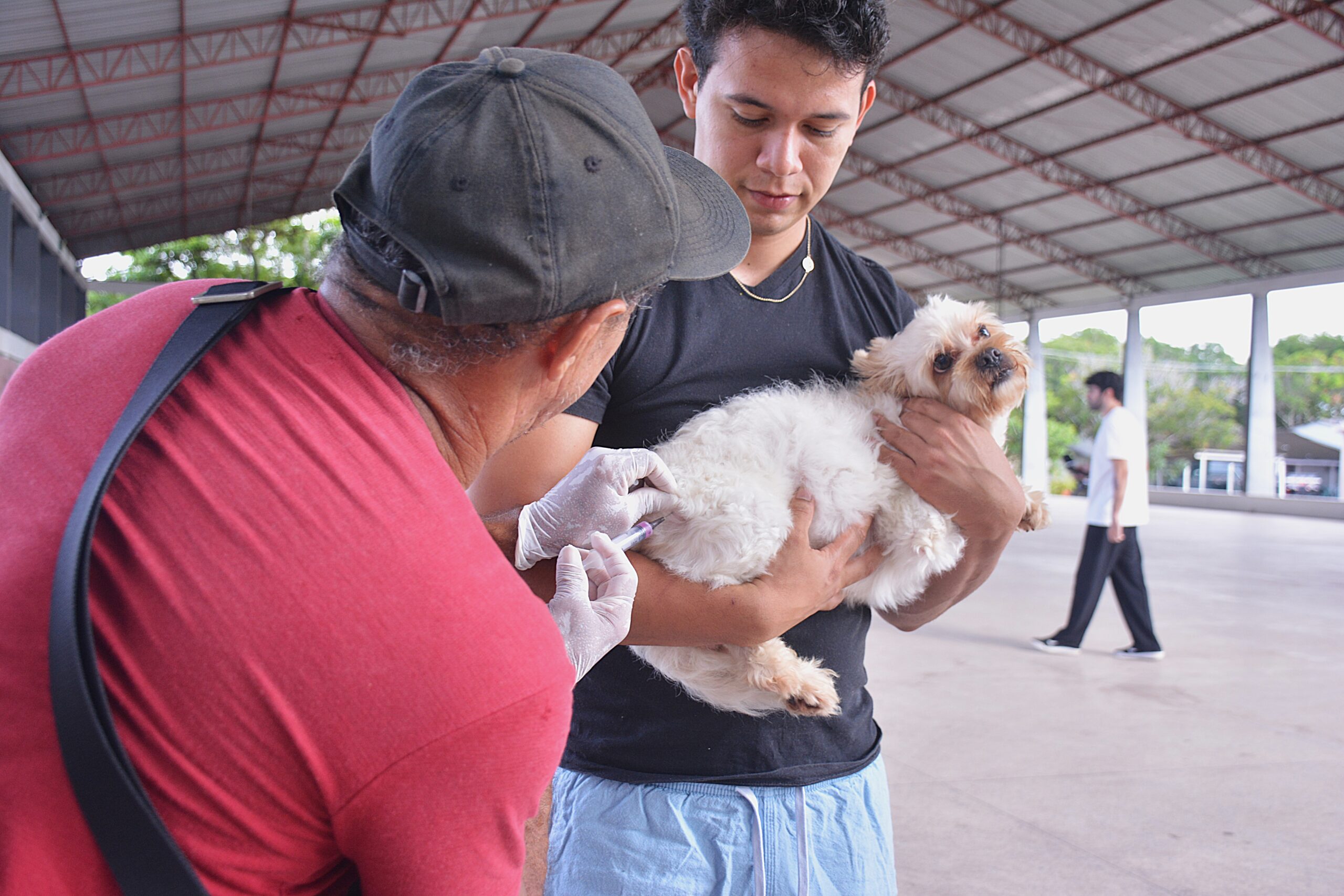 Inicia em Macapá a Campanha de Vacinação Antirrábica para cães e gatos